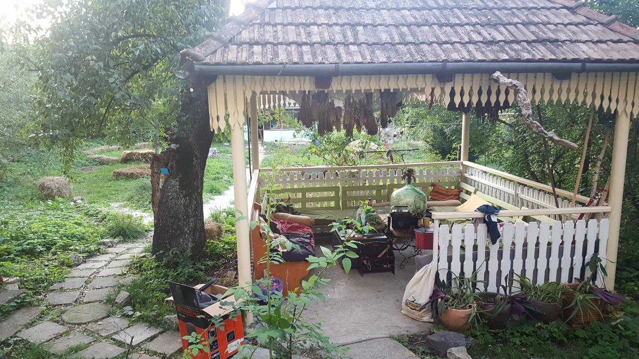Mountain Tale Hostel Brașov Exterior foto