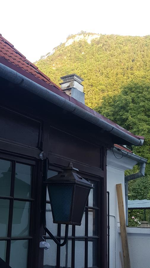 Mountain Tale Hostel Brașov Exterior foto