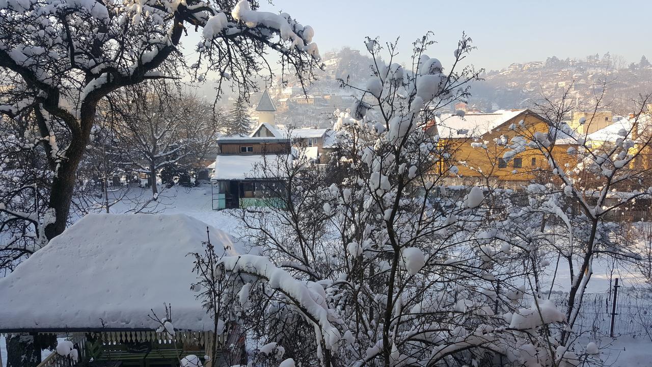 Mountain Tale Hostel Brașov Cameră foto