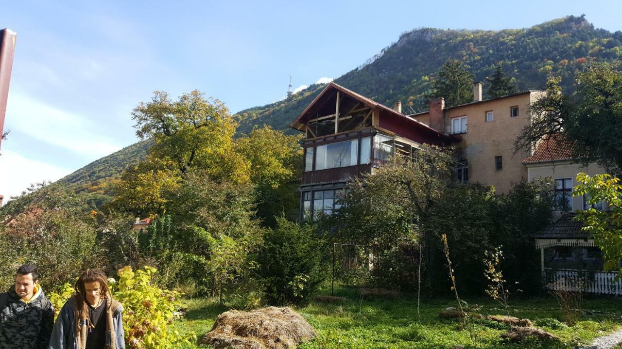 Mountain Tale Hostel Brașov Exterior foto